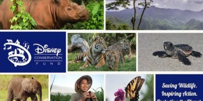 Disney Conservation Funds